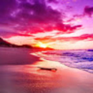 Meet your Posher, Bubbyburhannan